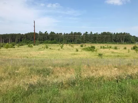 Nnn 63rd Avenue, Cannon Falls, MN 55009