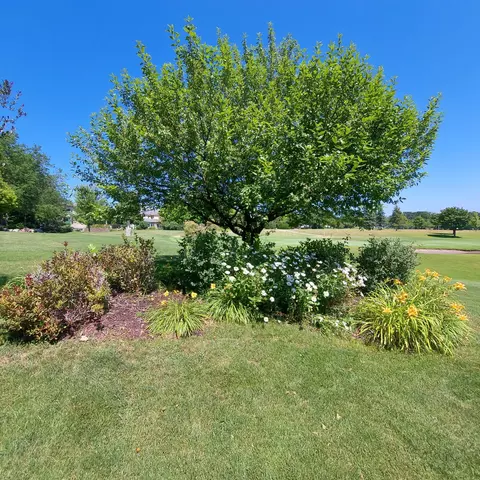 3406 Eagle Ridge Dr W, Willmar, MN 56201 photo 7