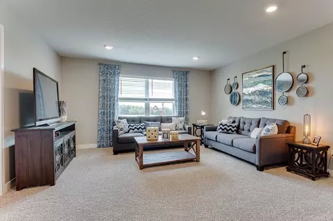 13120 Arbor Path, Rosemount, MN 55068 photo 13
