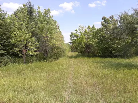 155 Nnnn Halsey Ave, Carver, MN 55315