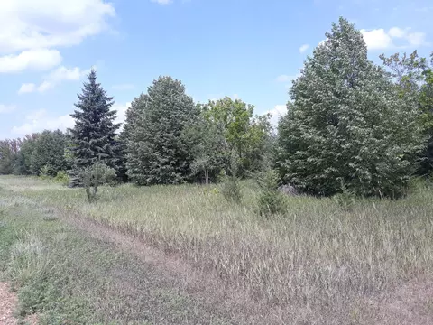 155 Halsey Ave # X, Carver, MN 55315