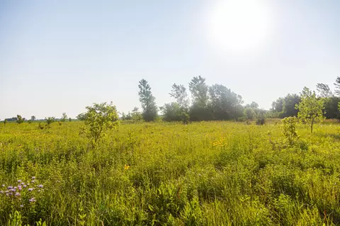 000 Mn Hwy 83, Mcpherson Twp, MN 56048