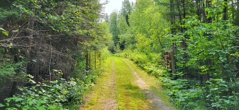 9986 Highway 23, Orr, MN 55771