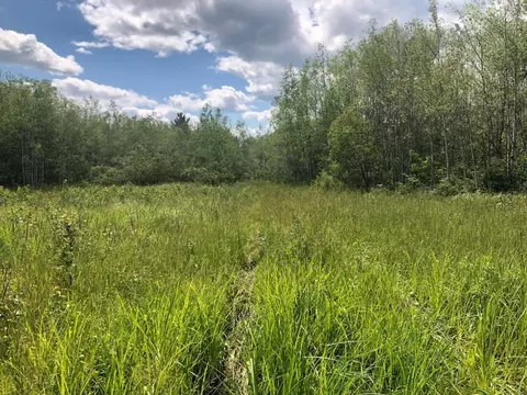 80 Acres Elm Hoist Rd, Sanborn, WI 54806