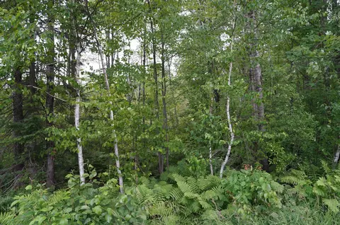 0 County Road X, Dewey Twp, WI 54526
