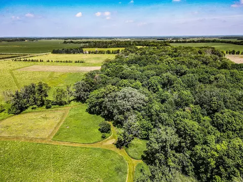 000 Johnson Rd, Nelson, MN 56355 photo 4