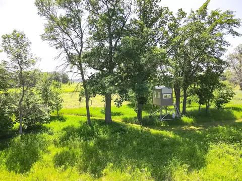 000 Johnson Rd, Nelson, MN 56355 photo 10
