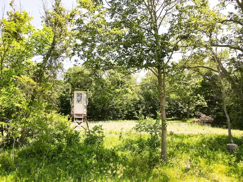000 Johnson Rd, Nelson, MN 56355 photo 22