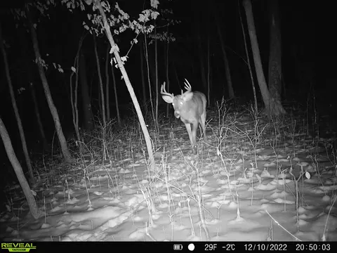 000 Johnson Rd, Nelson, MN 56355 photo 36