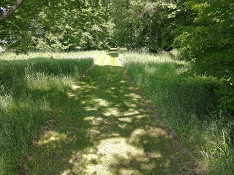 000 Johnson Rd, Nelson, MN 56355 photo 6
