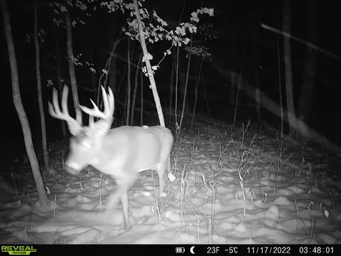 000 Johnson Rd, Nelson, MN 56355 photo 33