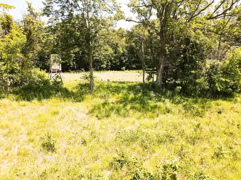 000 Johnson Rd, Nelson, MN 56355 photo 21
