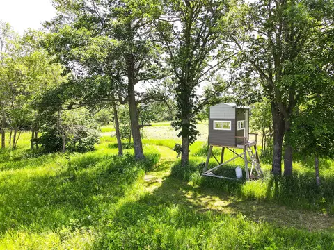000 Johnson Rd, Nelson, MN 56355 photo 12