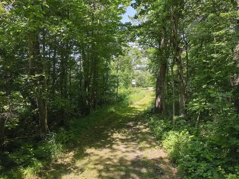 000 Johnson Rd, Nelson, MN 56355 photo 31