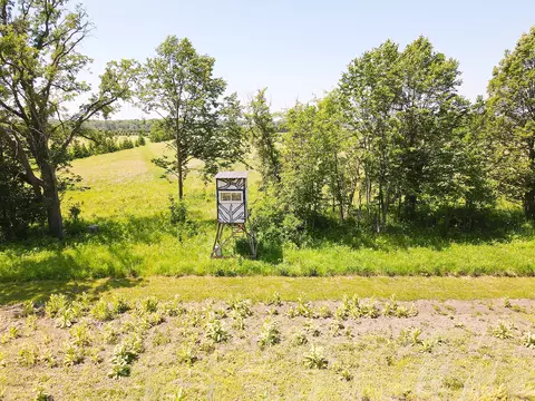 000 Johnson Rd, Nelson, MN 56355 photo 26