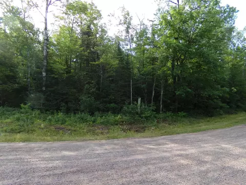 Tbd Bennett Rd, Bennett, WI 54873 photo 4