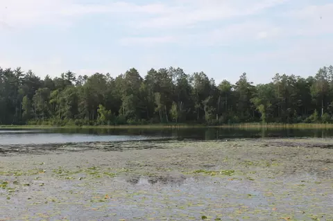 tbd Hidden Lake Rd #LOT 2, Nisswa, MN 56468