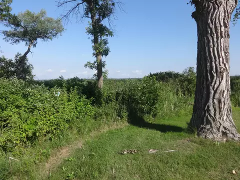 6 Acres Lakeshore Dr, Long Beach, MN 56334