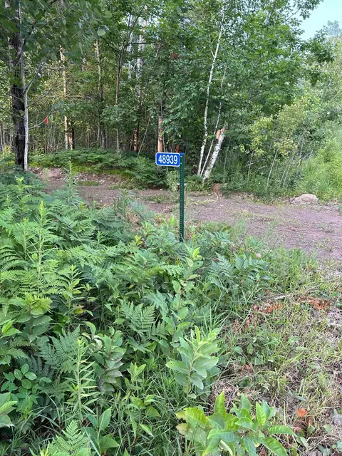 48939 Starch, Bruno Twp, MN 55712