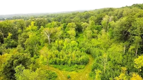 Nnn 240th Avenue, Luck, WI 54810