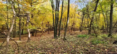 Tbd Highway 52 Blvd, Cannon Falls, MN 55009