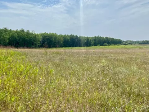 tbd Carr Lake Rd SW, Bemidji, MN 56601