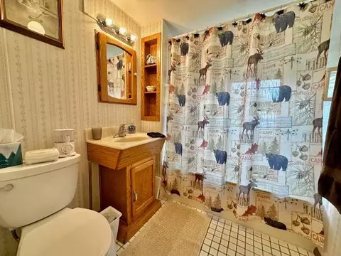 21619 Shallow Lake Rd, Warba, MN 55793 photo 15