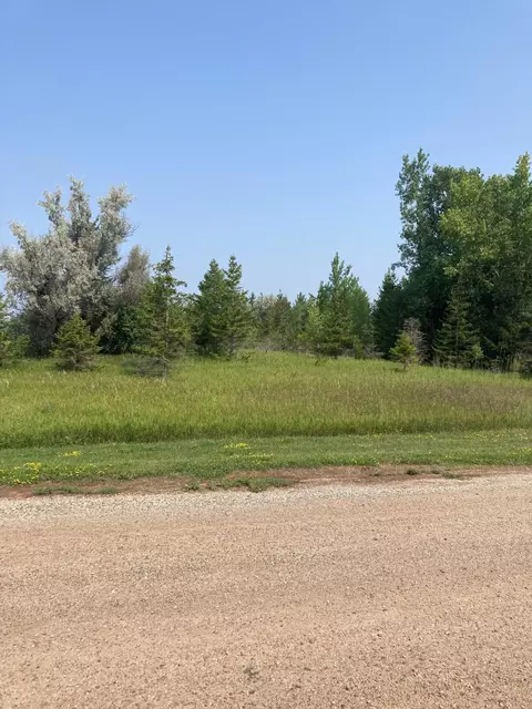 1715 Shoreview Dr, Fergus Falls, MN 56537