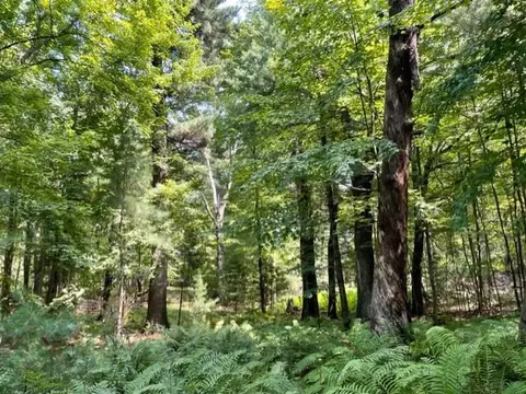 Nnnn 249th Avenue Ne, Oxford Twp, MN 55079