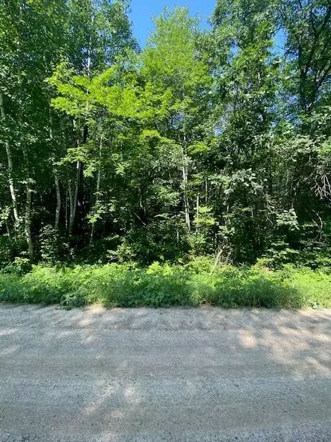 lot5 Iowana Beach Rd, Bena, MN 56626