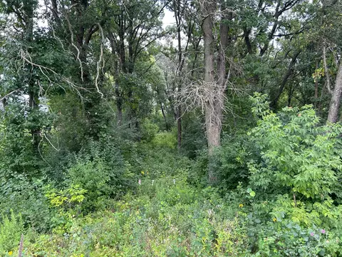 Nnn 173rd Avenue Se, Becker Twp, MN 55308