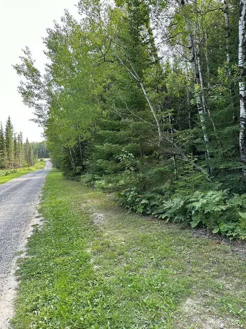 tbd 2 Tomahawk Ln, Kabetogama Twp, MN 56669