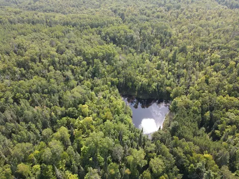 44310 State Hwy 38, Marcell, MN 56657 photo 36