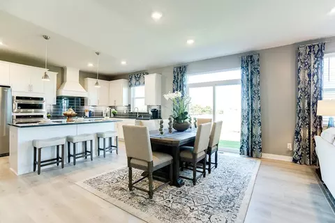 13108 Arbor Path, Rosemount, MN 55068
