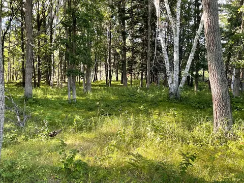 lot3 Block1 Bald Eagle Trl, Crosslake, MN 56442