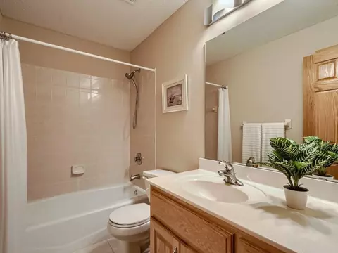 11013 Seven Pines Ln, Champlin, MN 55316 photo 18