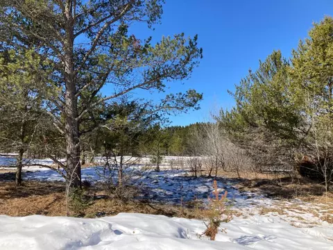 Nnn Mountain Ash Drive, Baxter, MN 56425