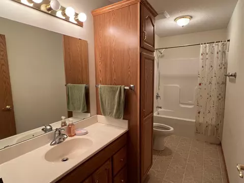 260 3rd Ave SE, Plainview, MN 55964 photo 13