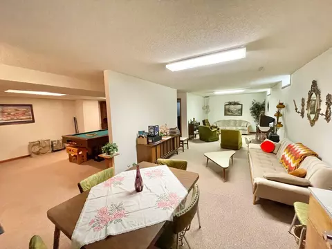 206 S Range Rd, Springfield, MN 56087 photo 39
