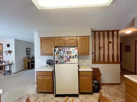 206 S Range Rd, Springfield, MN 56087 photo 20
