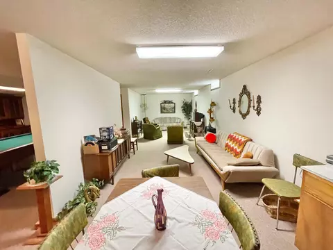 206 S Range Rd, Springfield, MN 56087 photo 40