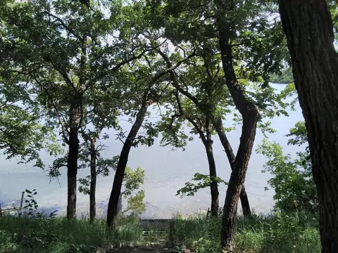 27779 Oak Point Rd, Elbow Lake, MN 56531