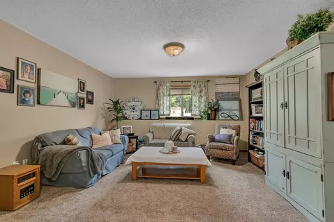 24262 Forestview Cir, Saint Augusta, MN 56301 photo 19