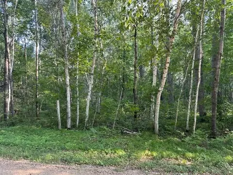 Nnn Maya Circle, Breezy Point, MN 56472