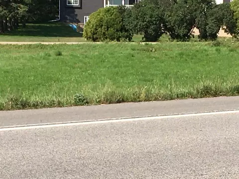 415 Pendergast St, Sauk Centre, MN 56378