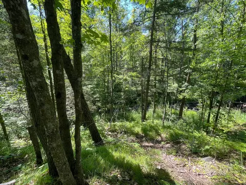 75954 Maple Rd, Willow River, MN 55795 photo 30