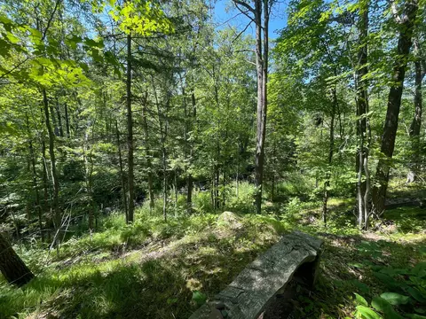 75954 Maple Rd, Willow River, MN 55795 photo 31