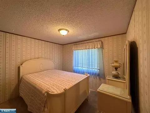 204 Pine St, Tower, MN 55790 photo 28