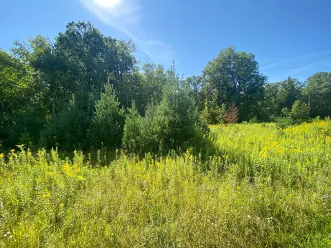 Nnnn Salmonson River Trail, Mora, MN 55051