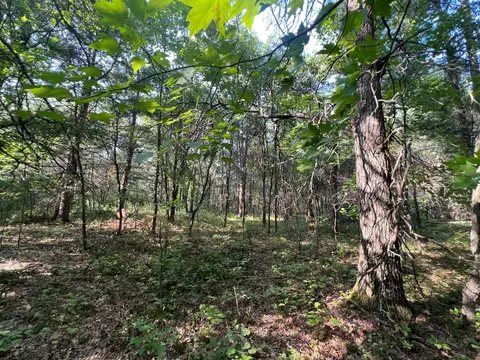 lot3 Borg Rd, Grantsburg, WI 54840